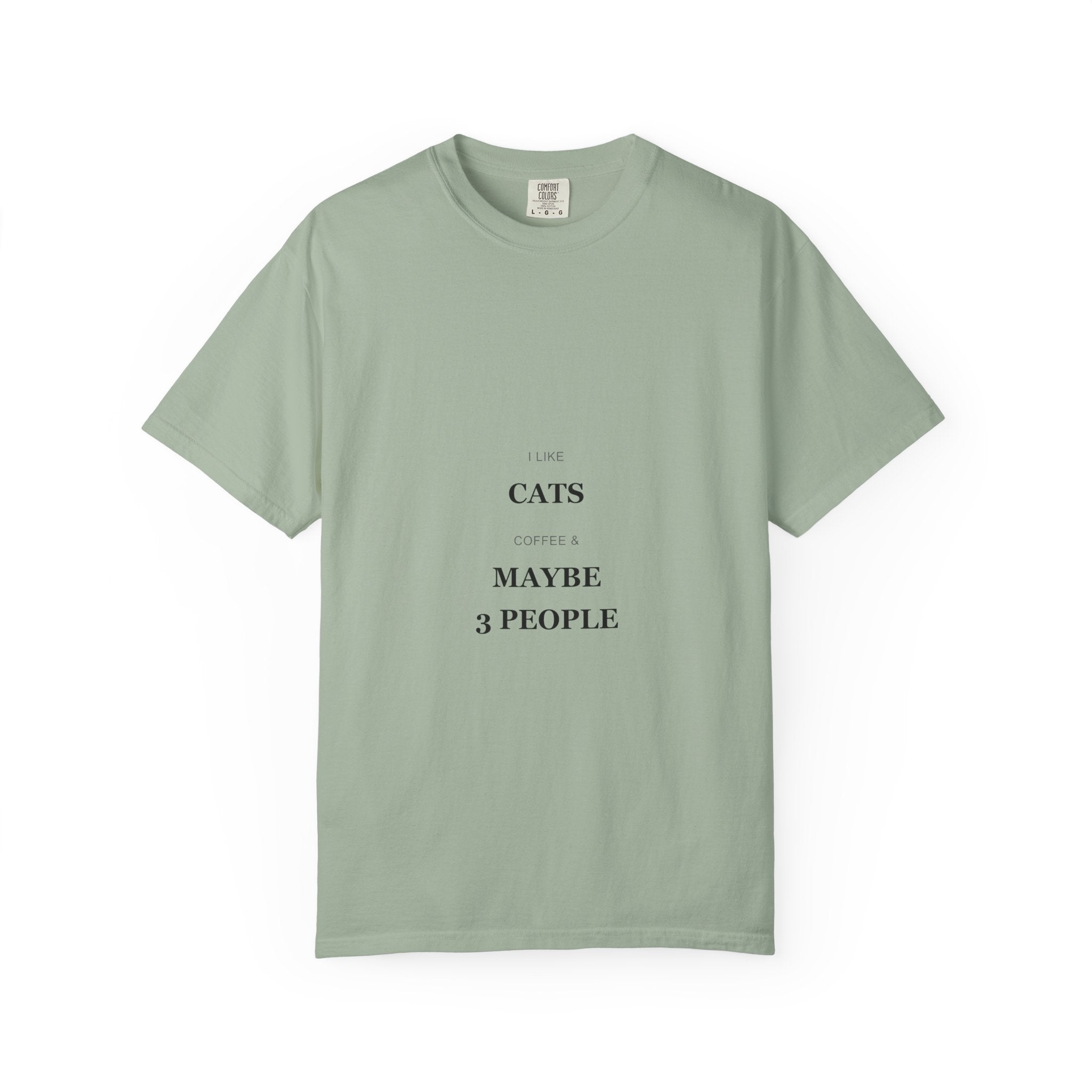 Cat Lover T-Shirt — "I Like Cats & Maybe 3 People." Minimal Graphic Tee